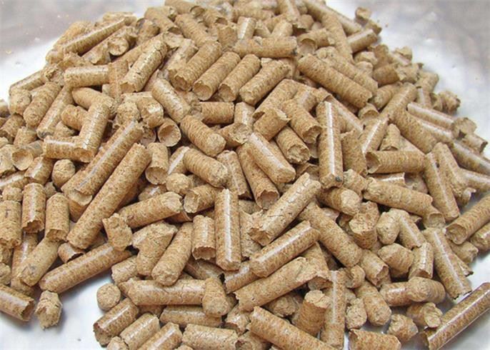 Ring Die Wood Pellet Mill Vertical Type Wood Pelletizer